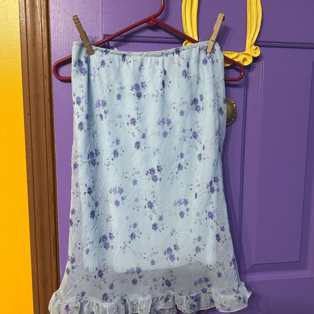 Blue sheer skirt